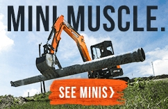 Mini Muscle. See minis>